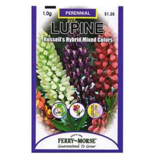 Ferry Morse 1 Gram Lupine Russells Hybrid Mixed Colors Seed 1075 at 