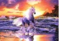 FIERY WHITE HORSE COUNTED CROSS STITCH KIT BRAND NEW  