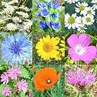 WILD FLOWER SEED MIX for BUTTERFLIES and BEES   4 GRAMS