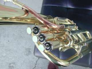 Mexican Banda Alto Horn Eb Gold Brass leadpipe 798936802507  