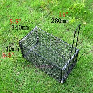 Brand New Collapsible Animal Humane Live Trap Cage   Mouse Mice Rat 