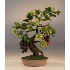  Artificial Wine.Grape Bonsai Tree.: Patio, Lawn & Garden