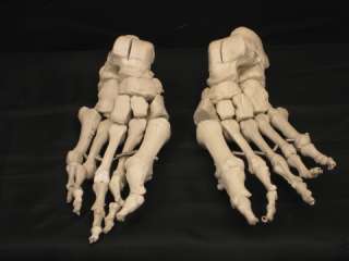 Bucky Skeleton Feet Life Size Halloween Prop, NEW  