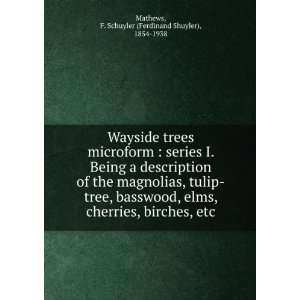   tree, basswood, elms, cherries, birches, etc. F. Schuyler (Ferdinand