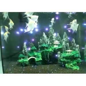   Star Decoration Aquariums Fish Tank Jar Bowl 100cm: Pet Supplies