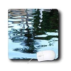    Florene Water Landscape   Water Critters   Mouse Pads Electronics