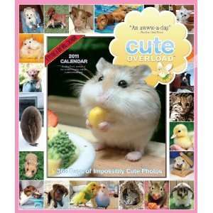  Cute Overload 365 Days of Impossibly Cute Photos Calendar 
