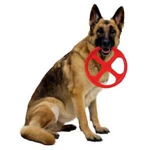  Orbit Flying Disc Dog Toy: Pet Supplies