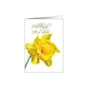 Hallelujah he is alive daffodil Card Health & Personal 