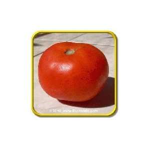  Lb   New Yorker   Bulk Heirloom Tomato Seeds: Patio, Lawn & Garden