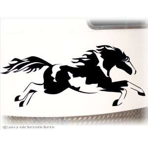  Galloping American Paint Horse Trailer Decal Sticker 10 x 