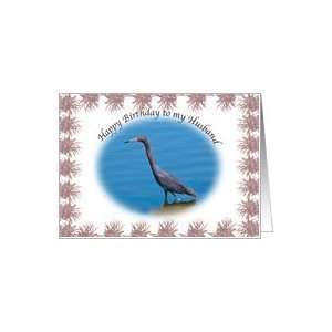 Husband Birthday with Little Blue Heron Card