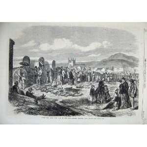   1866 Ivory Skins Sale Grahamstown Market Cape Colony