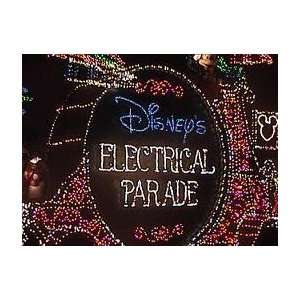  Main Street Electrical Parade Light Bulb: Everything Else