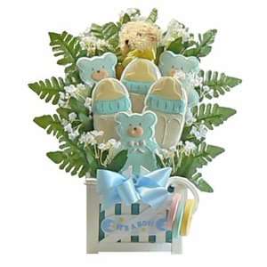 Welcome Baby Boy Cookie Bouquet  Grocery & Gourmet Food