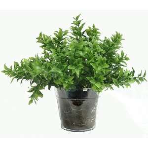    11 Japanese Holly Tabletop Artificial Potted Plant