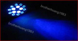 15 LED UV LASER Ultraviolet Flashlight light Lamp Torch  