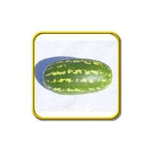  All Sweet   Watermelon Seeds   Jumbo Seed Packet (40 